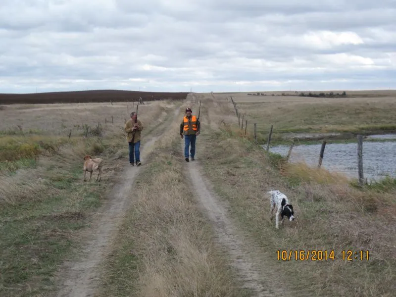 Hunting party DG from California – 2014 wild pheasant hunt in North Dakota