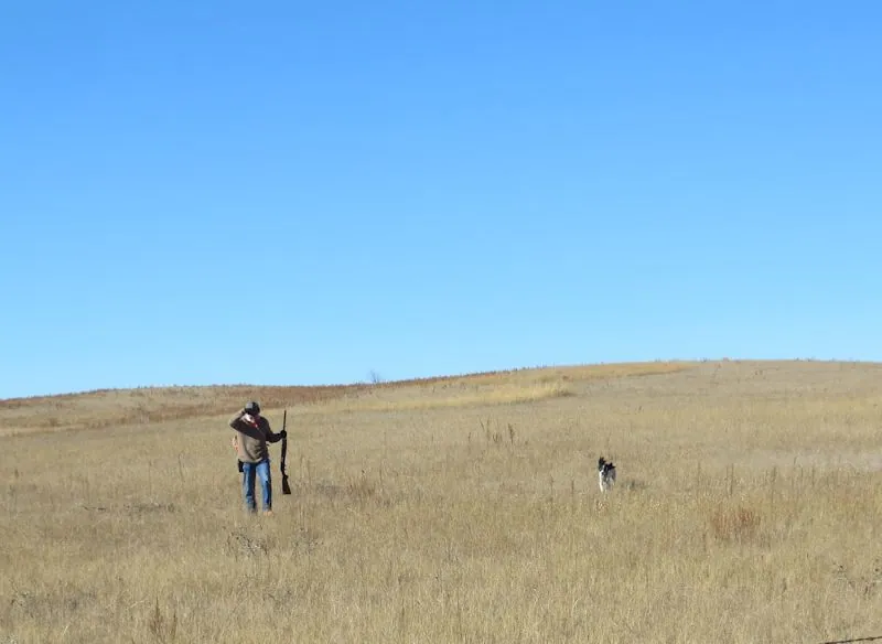 Hunting party DG from California – 2015 wild pheasant hunt in North Dakota