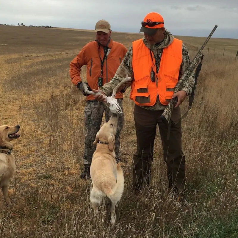 Hunting party BK from Wisconsin – 2016 wild pheasant hunt in North Dakota