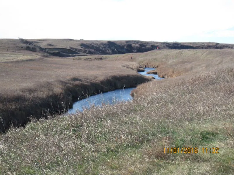 Hunting party DG from California – 2016 wild pheasant hunt in North Dakota