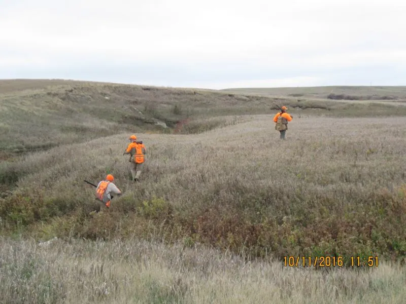 Hunting party SK from Montana – 2016 wild pheasant hunt in North Dakota