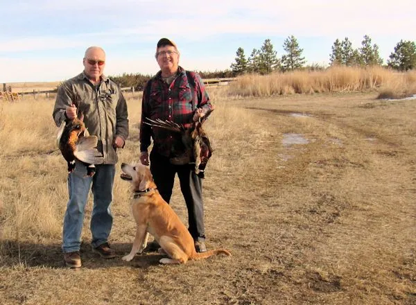 Hunting party BB from North Dakota – 2018 wild pheasant hunt in North Dakota