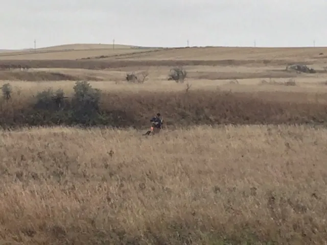 Hunting party SK from Montana – 2018 wild pheasant hunt in North Dakota