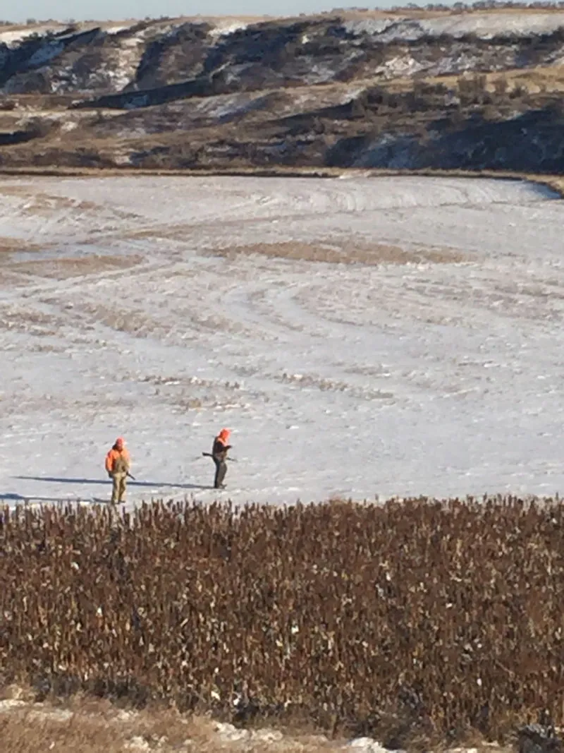 Hunting party MC from Indiana – 2019 wild pheasant hunt in North Dakota