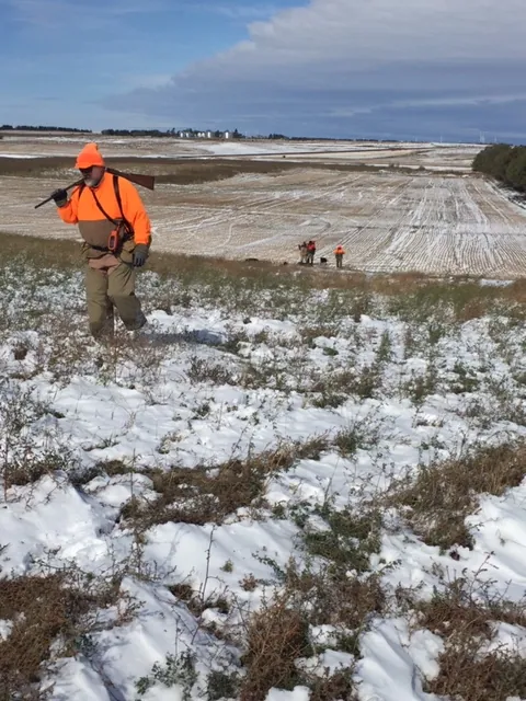 Hunting party SK from Montana – 2019 wild pheasant hunt in North Dakota