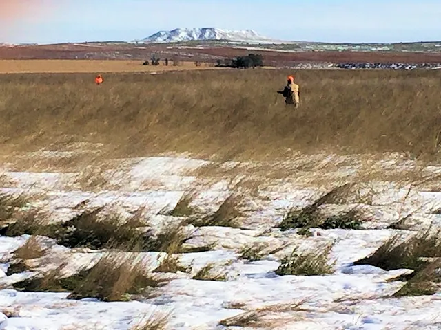 Hunting party SK from Montana – 2019 wild pheasant hunt in North Dakota