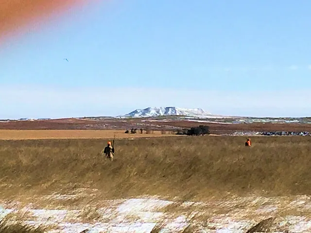 Hunting party SK from Montana – 2019 wild pheasant hunt in North Dakota
