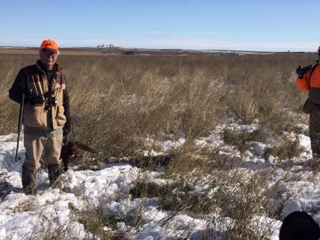 Hunting party SK from Montana – 2019 wild pheasant hunt in North Dakota