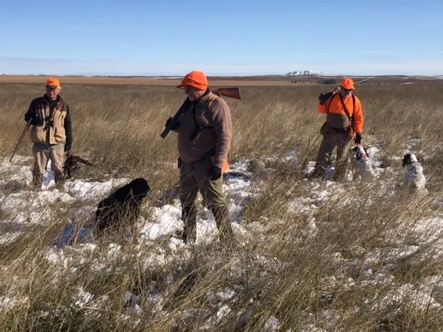 Hunting party SK from Montana – 2019 wild pheasant hunt in North Dakota
