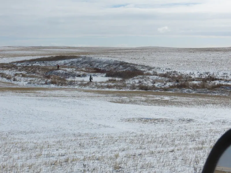 Hunting party DG from California – 2020 wild pheasant hunt in North Dakota