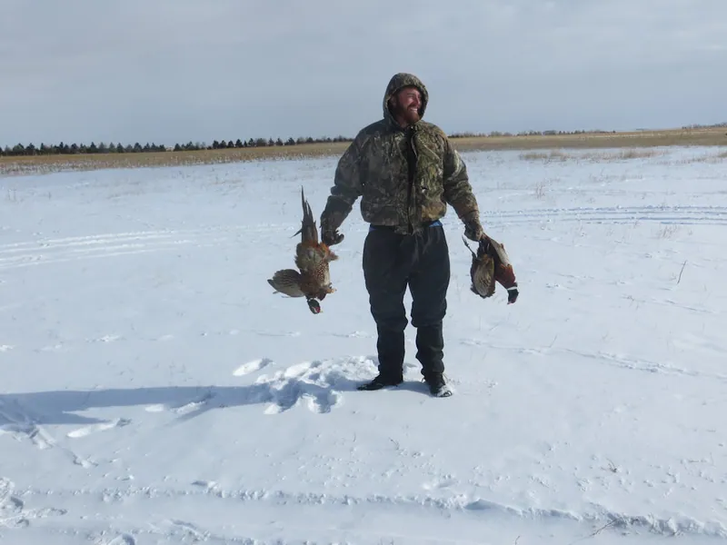Hunting party DG from California – 2020 wild pheasant hunt in North Dakota