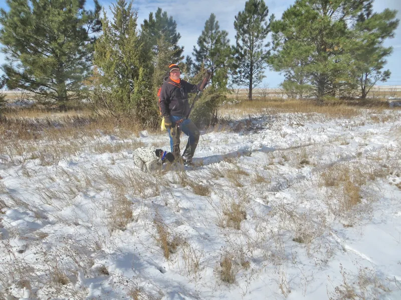 Hunting party DG from California – 2020 wild pheasant hunt in North Dakota