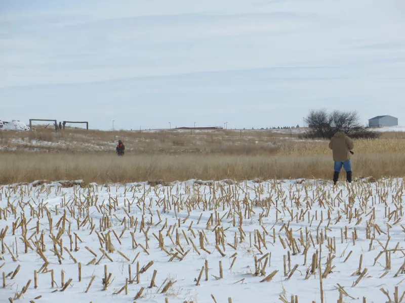 Hunting party DG from California – 2020 wild pheasant hunt in North Dakota