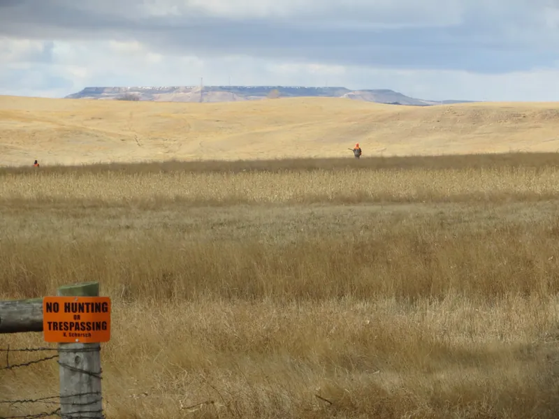 Hunting party FH from Washington – 2020 wild pheasant hunt in North Dakota