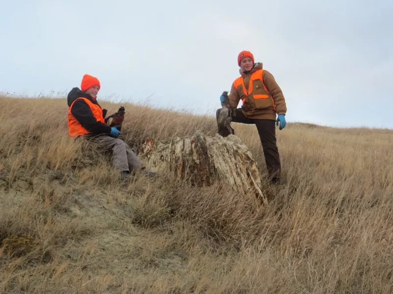 Hunting party FH from Washington – 2020 wild pheasant hunt in North Dakota