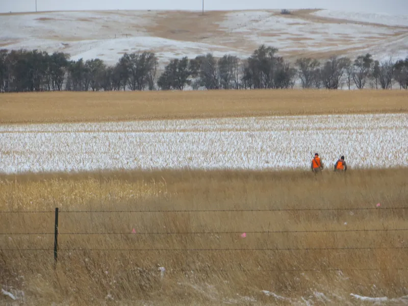 Hunting party JY from Wisconsin – 2020 wild pheasant hunt in North Dakota