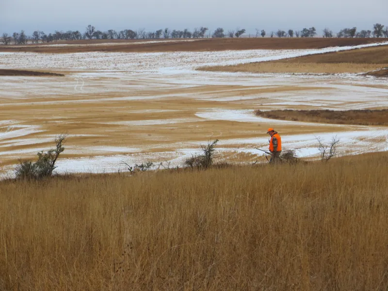 Hunting party JY from Wisconsin – 2020 wild pheasant hunt in North Dakota