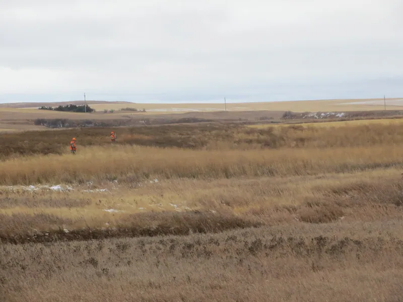 Hunting party JY from Wisconsin – 2020 wild pheasant hunt in North Dakota