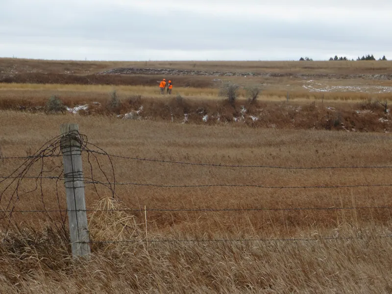 Hunting party JY from Wisconsin – 2020 wild pheasant hunt in North Dakota