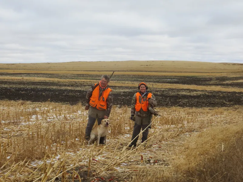 Hunting party JY from Wisconsin – 2020 wild pheasant hunt in North Dakota