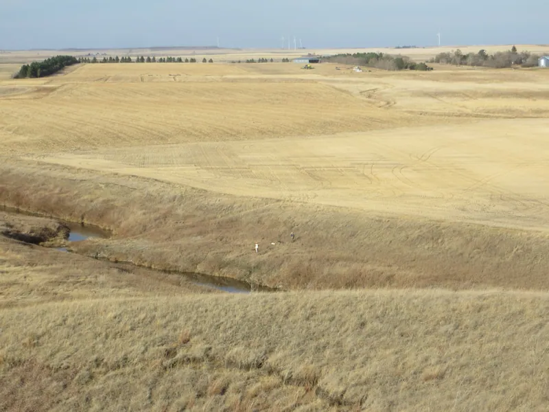 Hunting party JY from Montana – 2020 wild pheasant hunt in North Dakota