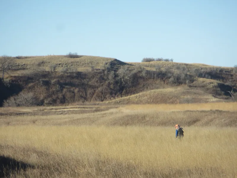 Hunting party JY from Montana – 2020 wild pheasant hunt in North Dakota
