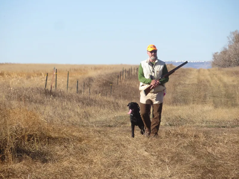Hunting party JY from Montana – 2020 wild pheasant hunt in North Dakota