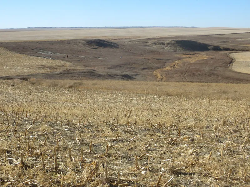 Hunting party JY from Montana – 2020 wild pheasant hunt in North Dakota