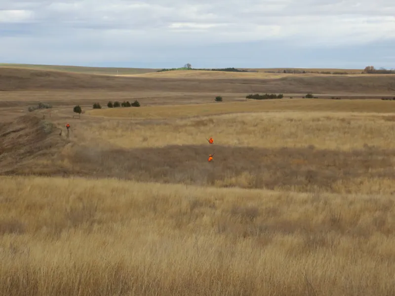 Hunting party SK from Montana – 2020 wild pheasant hunt in North Dakota