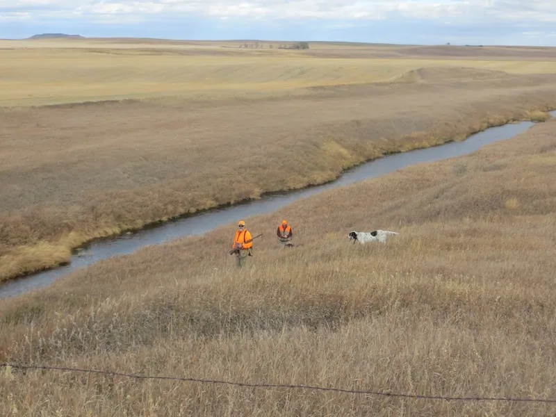 Hunting party SK from Montana – 2020 wild pheasant hunt in North Dakota