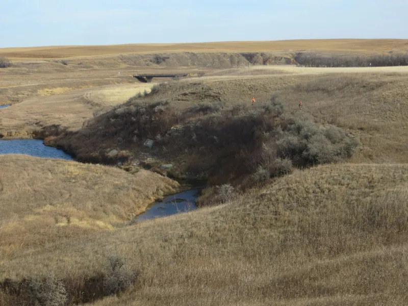 Hunting party TA from Montana – 2020 wild pheasant hunt in North Dakota