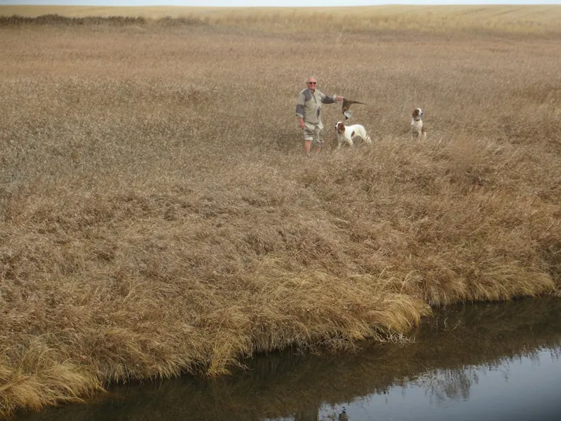 Hunting party TA from Montana – 2020 wild pheasant hunt in North Dakota