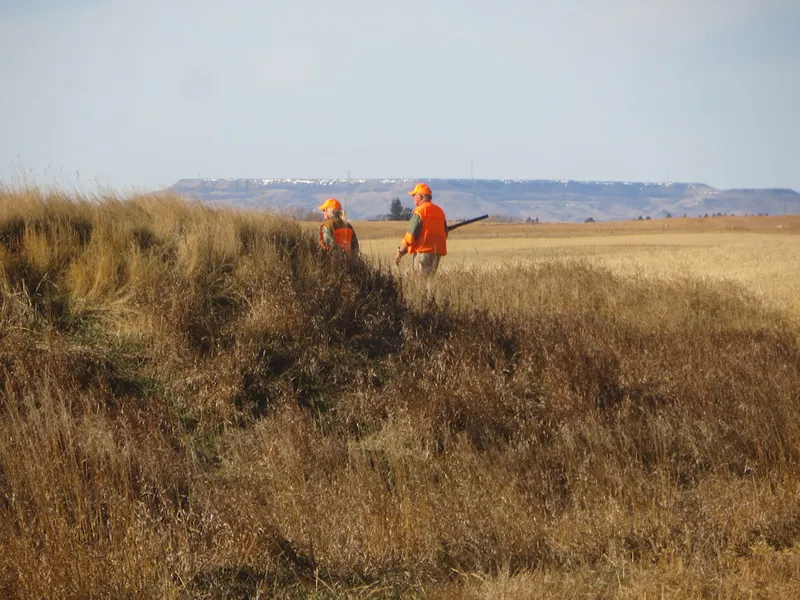 Hunting party TA from Montana – 2020 wild pheasant hunt in North Dakota
