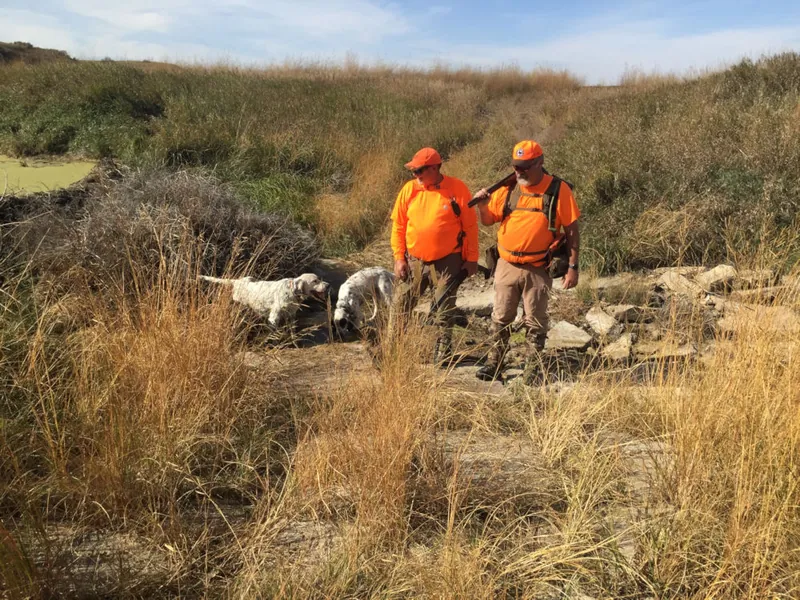 2022 pheasant hunt in North Dakota
