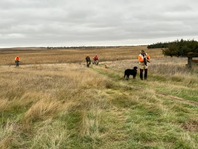 Hunting party JY from Montana – 2023 wild pheasant hunt in North Dakota