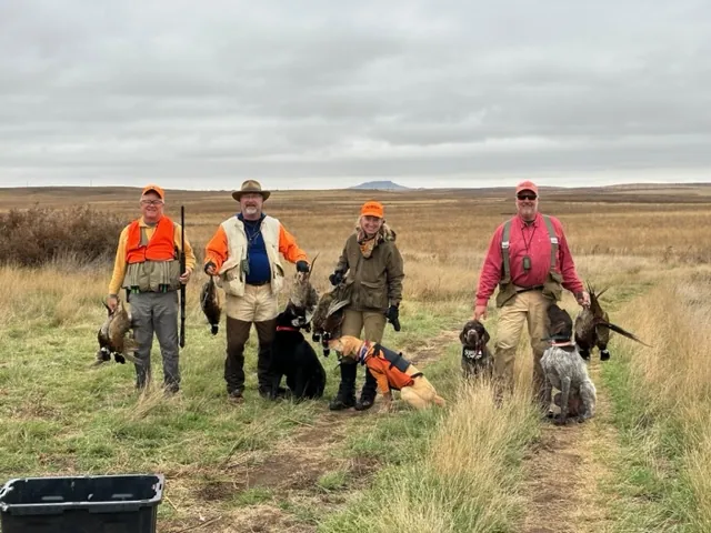 2023 wild pheasant hunt at K Pheasant Hunting, North Dakota (photo 16)