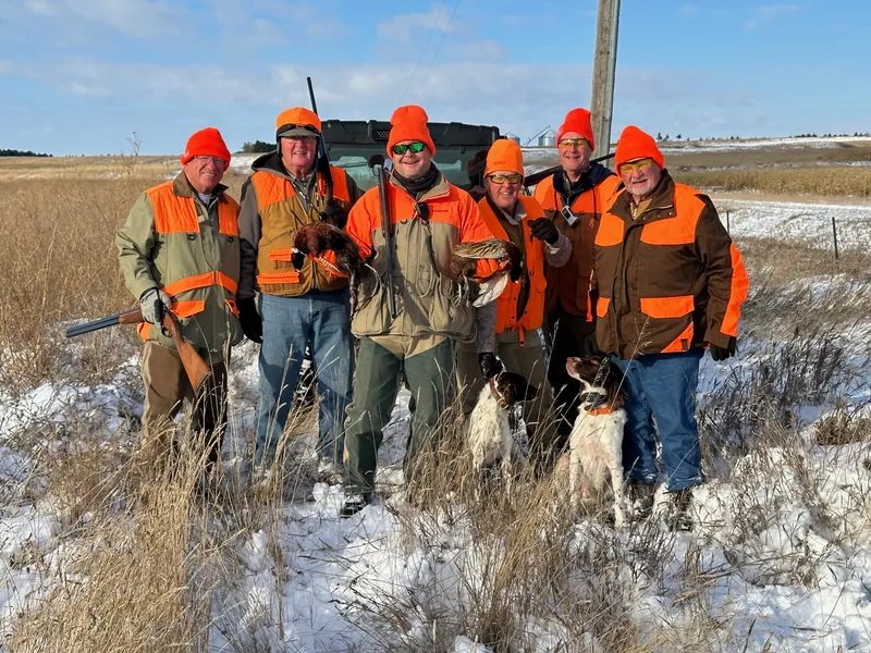 2023 wild pheasant hunt at K Pheasant Hunting, North Dakota (photo 22)