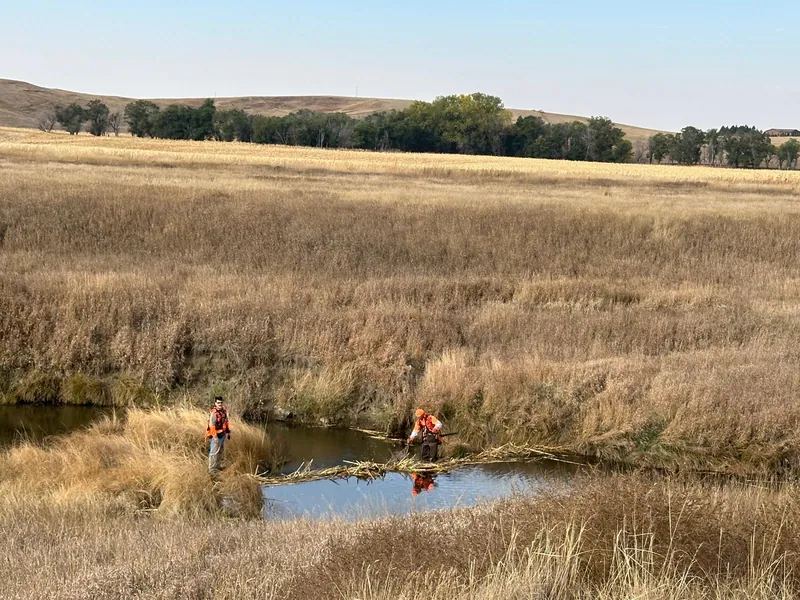 Hunting party B H from Washington – 2024 wild pheasant hunt in North Dakota
