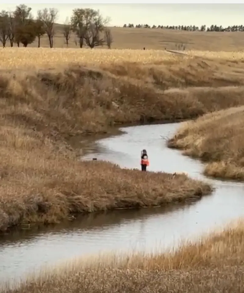 Hunting party BT from Washington – 2024 wild pheasant hunt in North Dakota