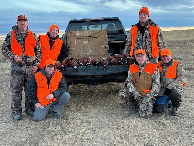 2024 wild pheasant hunt at K Pheasant Hunting, North Dakota (photo 27)