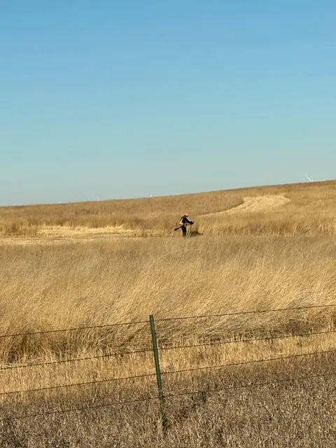 Hunting party KD from Nevada – 2024 wild pheasant hunt in North Dakota