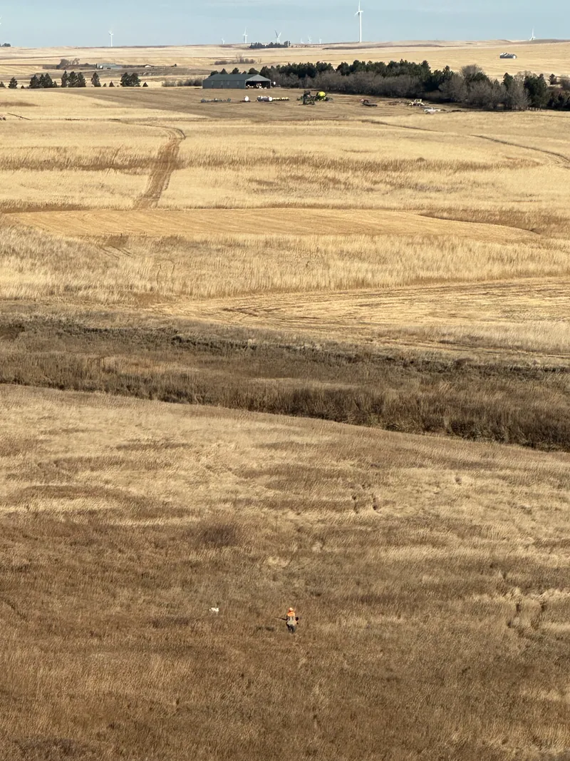 Hunting party KD from Nevada – 2024 wild pheasant hunt in North Dakota