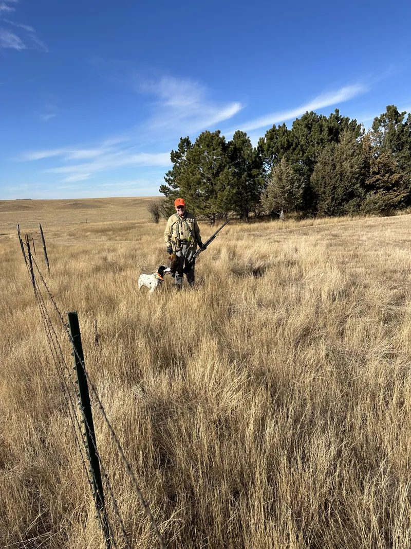 Hunting party KD from Nevada – 2024 wild pheasant hunt in North Dakota