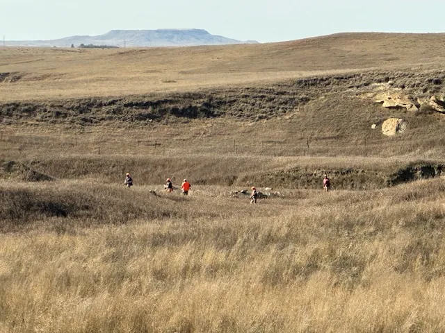 Hunting party JY from Montana – 2025 wild pheasant hunt in North Dakota