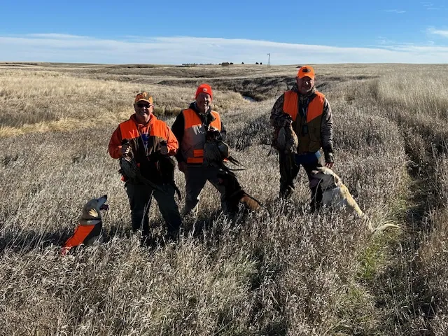 Hunting party LB from Idaho – 2025 wild pheasant hunt in North Dakota
