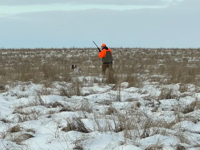 Hunting party DR from Michigan – 2025 wild pheasant hunt in North Dakota