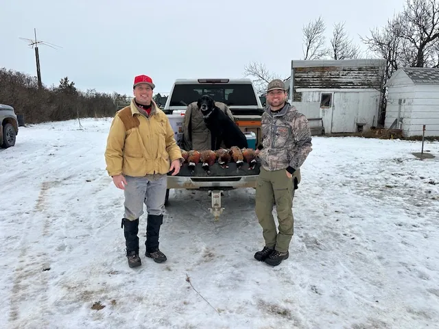 Hunting party BD from Idaho – 2025 wild pheasant hunt in North Dakota