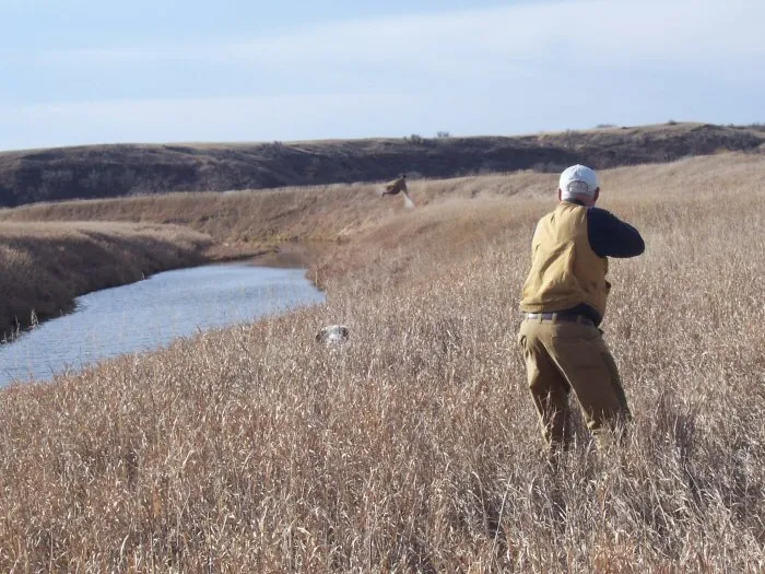 Pheasant hunt, October 2005