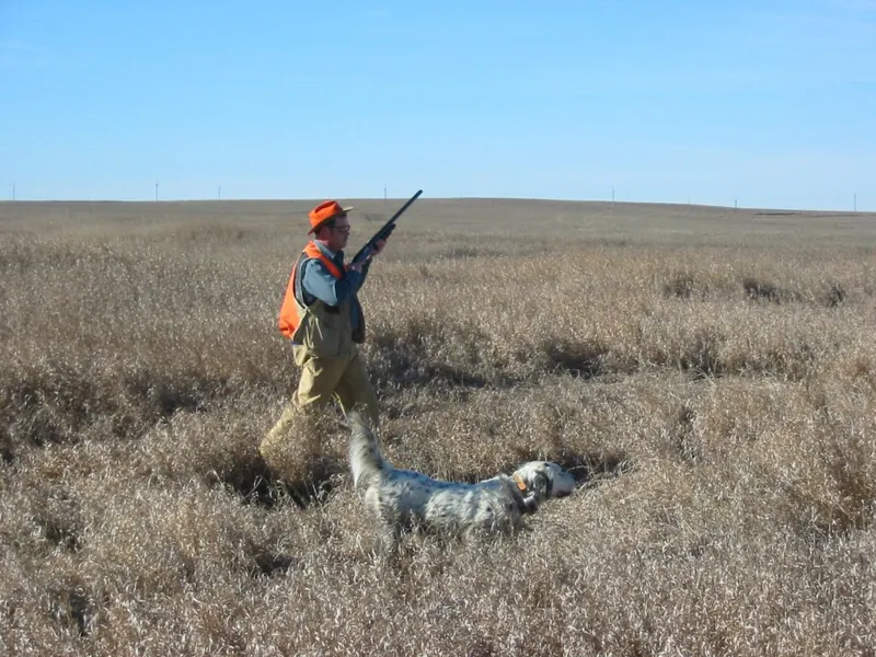 Pheasant hunt, November 2004