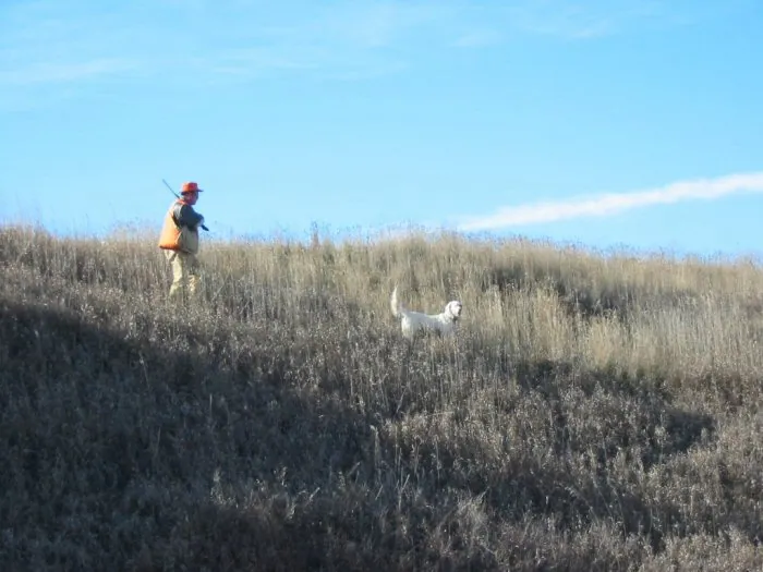 Pheasant hunt, November 2004